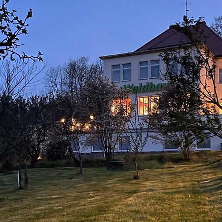 Hotel Waldhaus Pulsnitz Extérieur photo